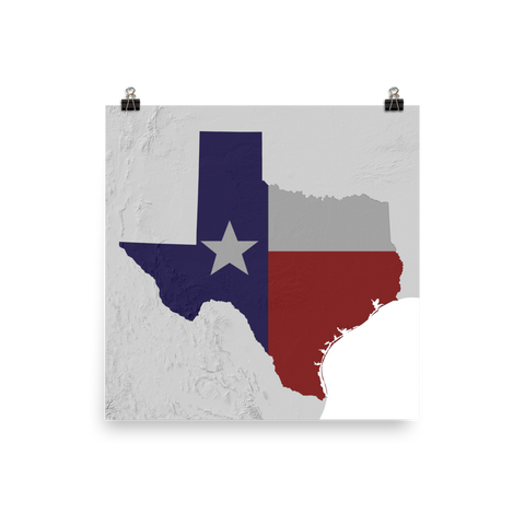 Texas State Flag Relief Map